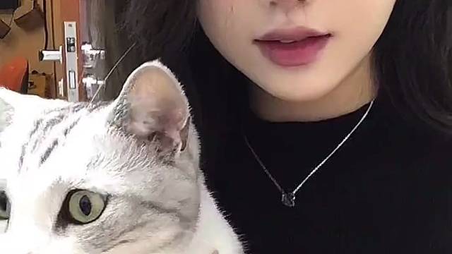 小貓