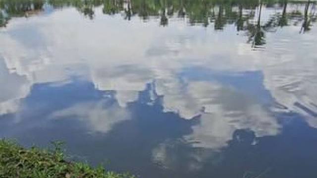 平靜的水面下全是大貨 #國(guó)外視頻分享 #好多魚 #魚