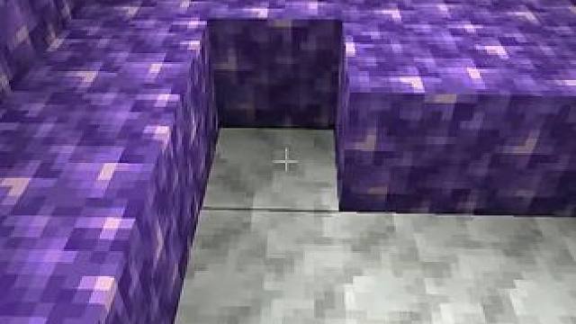 #我的世界 #Minecraft