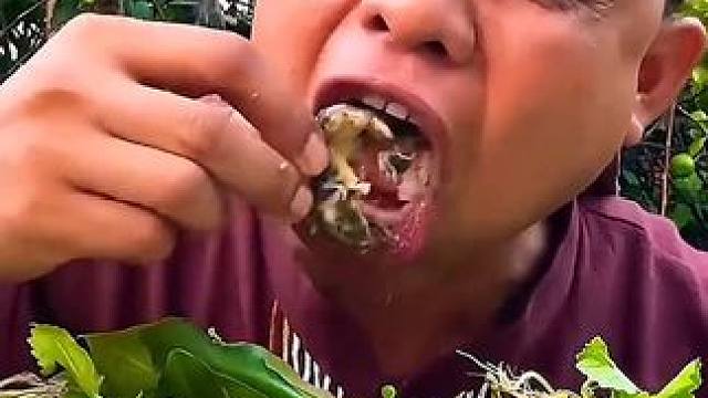 午飯吃辣燉?蛋蛋蛙 #美食 #戶外美食 #泰國美食 #內容啟發(fā)搜索