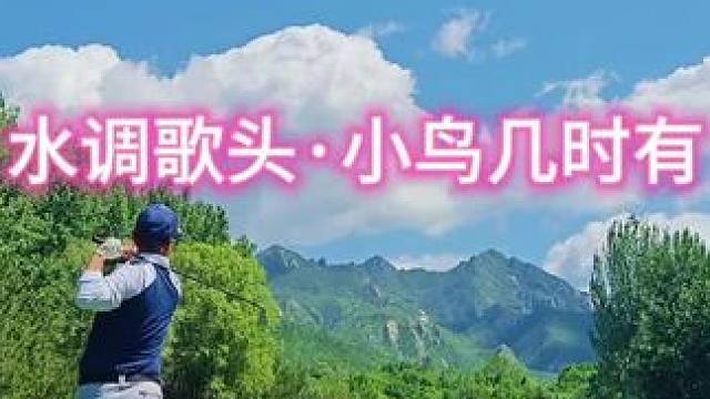 《水調(diào)歌頭·小鳥(niǎo)幾時(shí)有》#斗禾 #原創(chuàng) #正解高爾夫 #水調(diào)歌頭 #高爾夫球場(chǎng)