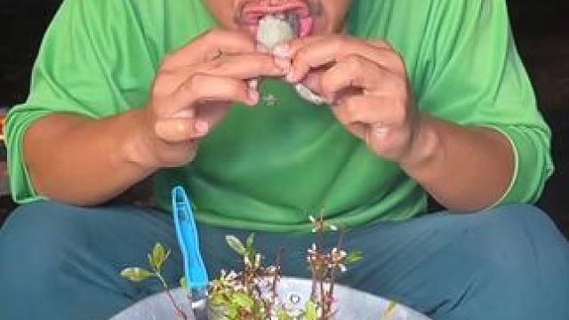 咖喱燉的蛋蛋蛙真香 #美食 #戶外美食 #泰國美食 #內(nèi)容啟發(fā)搜索