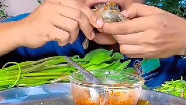 剁椒料汁?咖喱燉滿籽蛋蛋蛙 #美食 #戶外美食 #泰國美食 #內容啟發(fā)搜索
