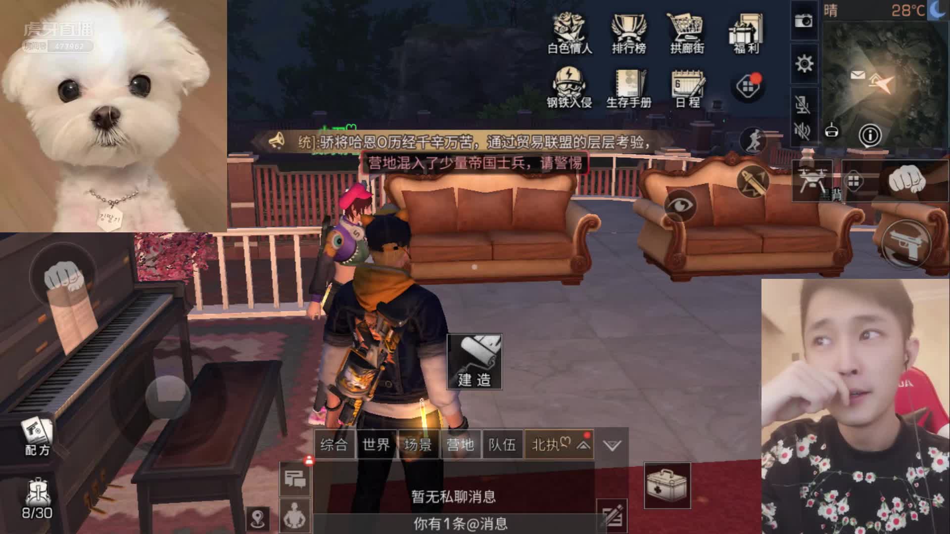 鸡毛：二号小姐姐解释为什么选小狗的照片当头像，因为跟主持人比较像