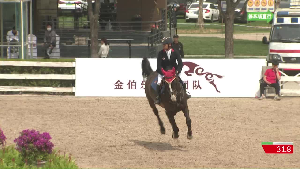 2019天星调良国际马术障碍大赛