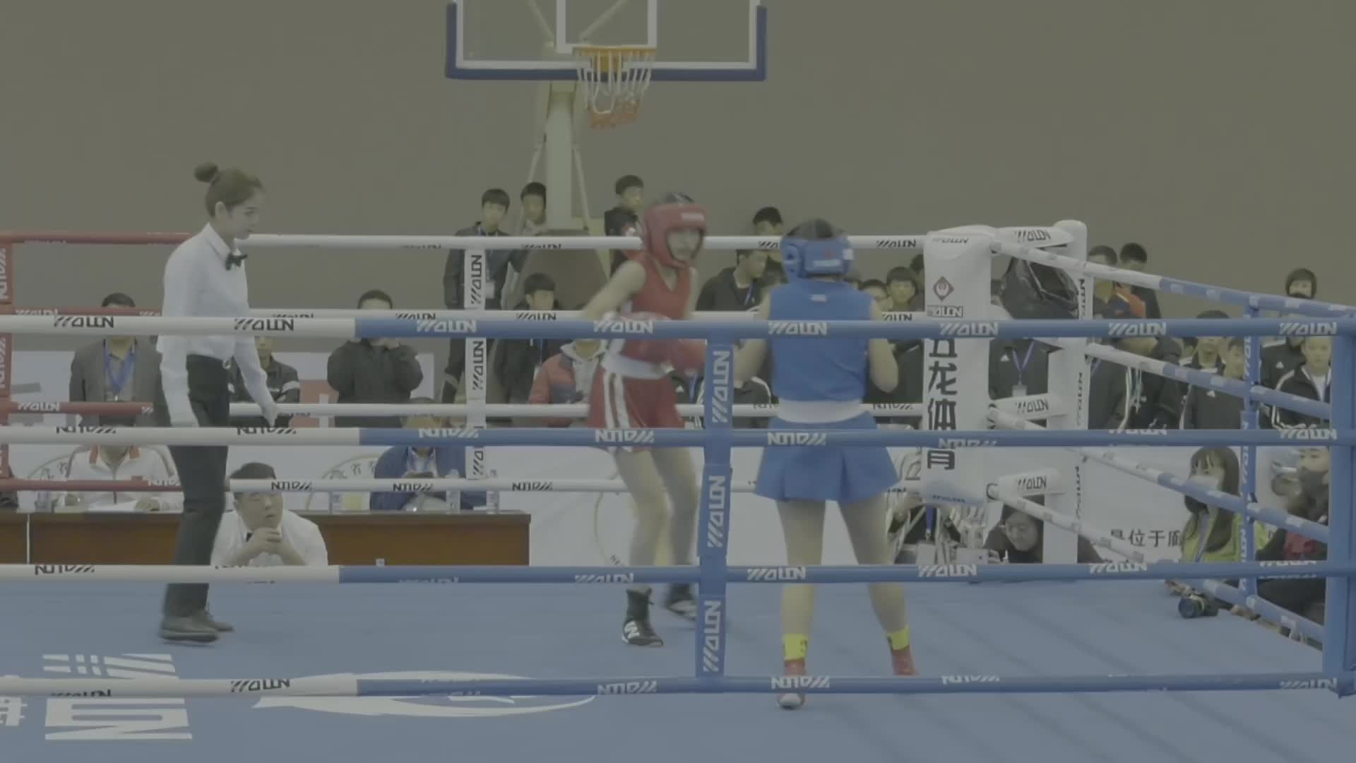 河北省青少年拳击锦标赛总决赛