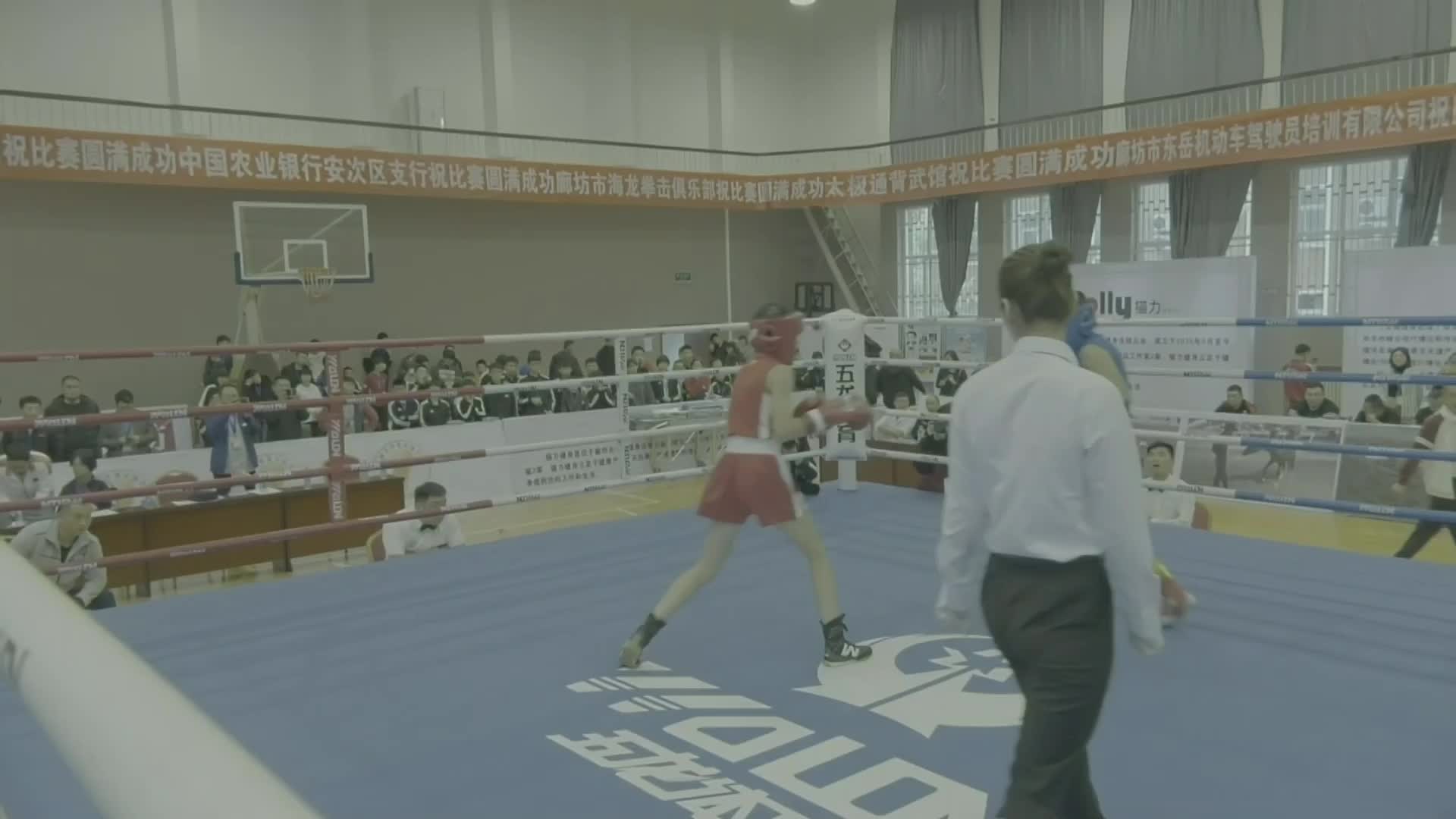 2019年河北省青少年拳击锦标赛总决赛2