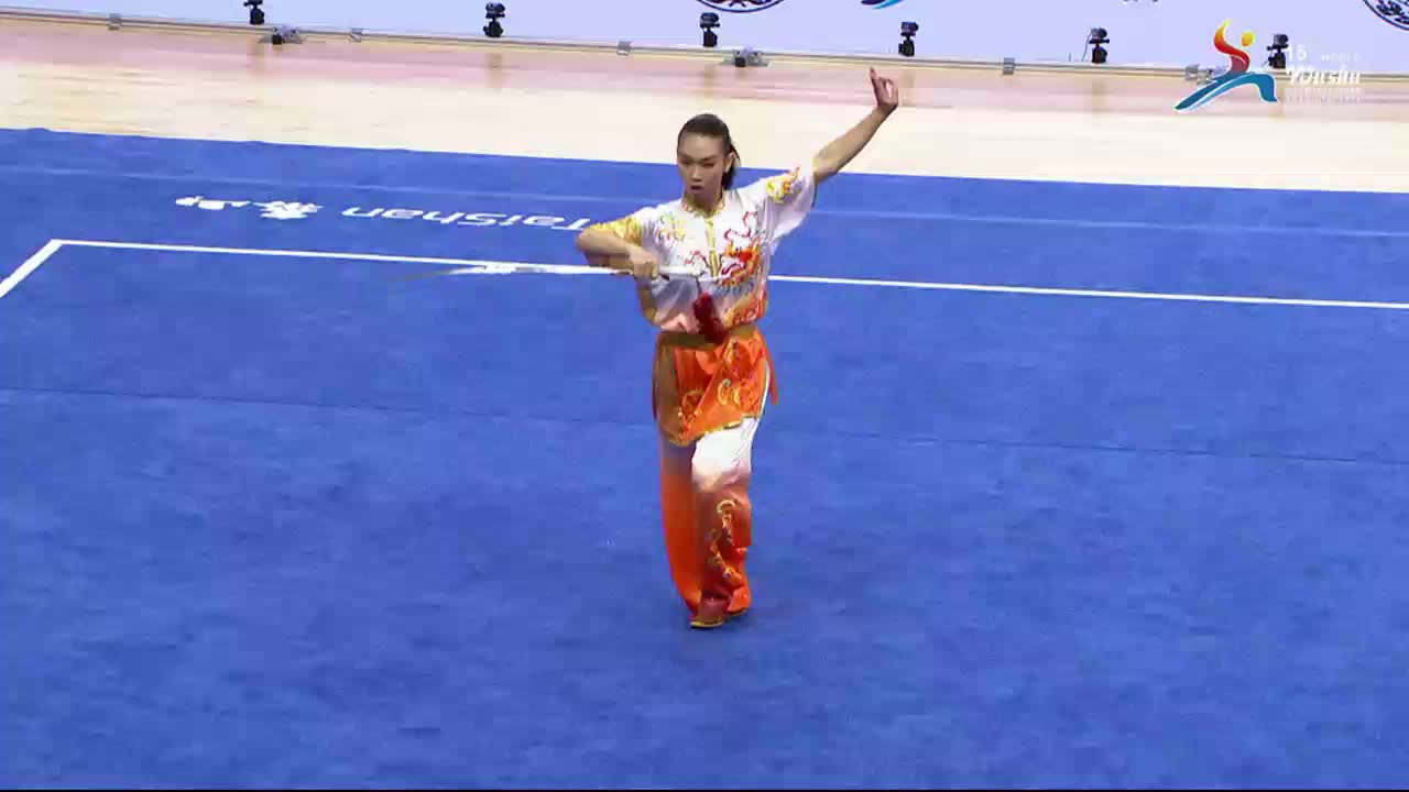 第十五届世界武术锦标赛2001