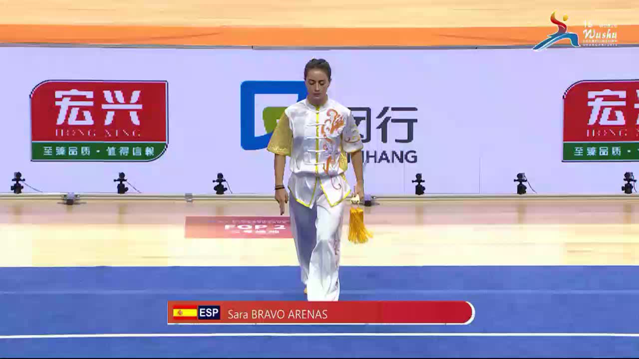 第十五届世界武术锦标赛2101