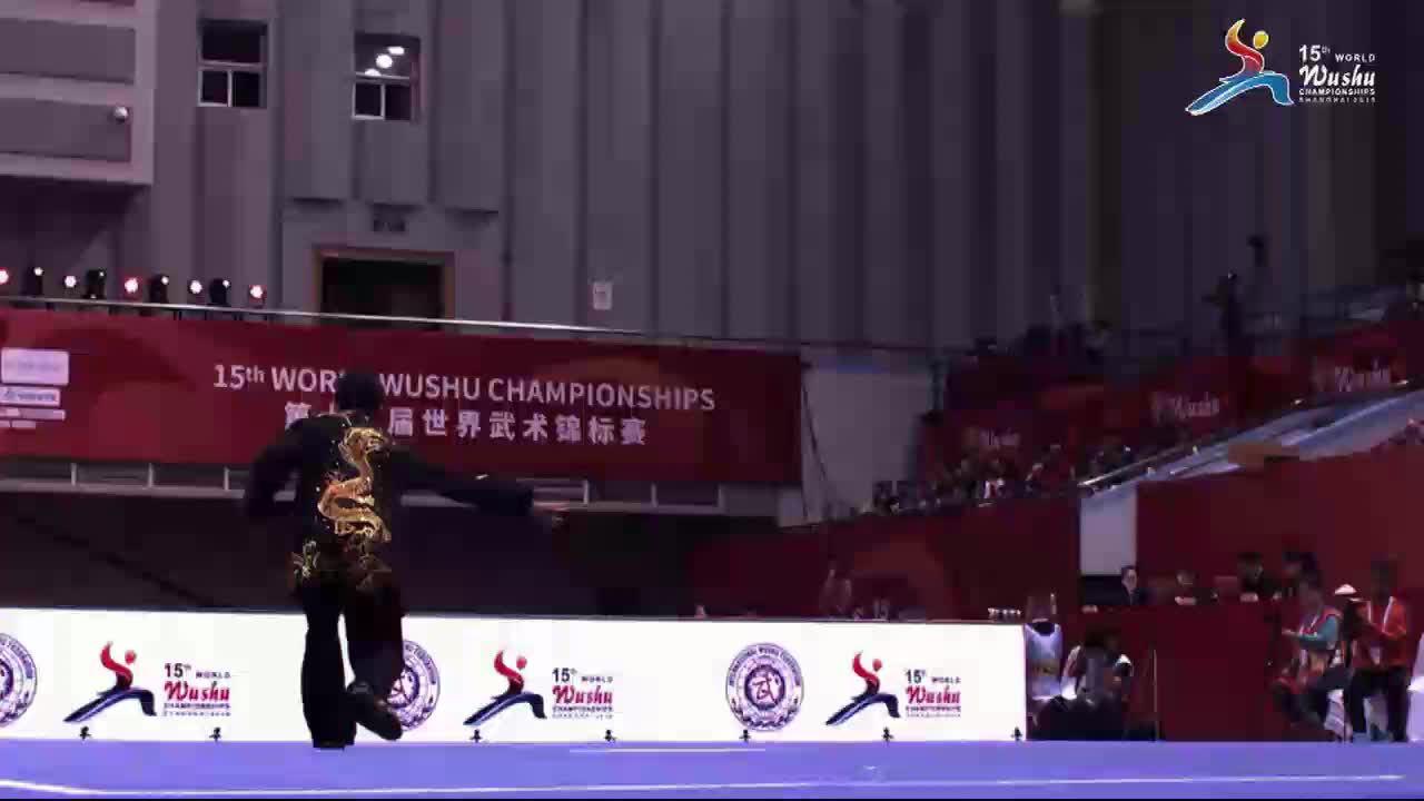 第十五届世界武术锦标赛2104