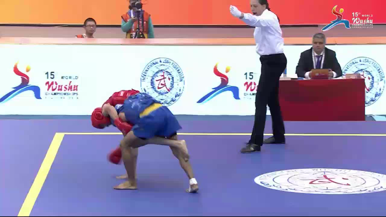 第十五届世界武术锦标赛