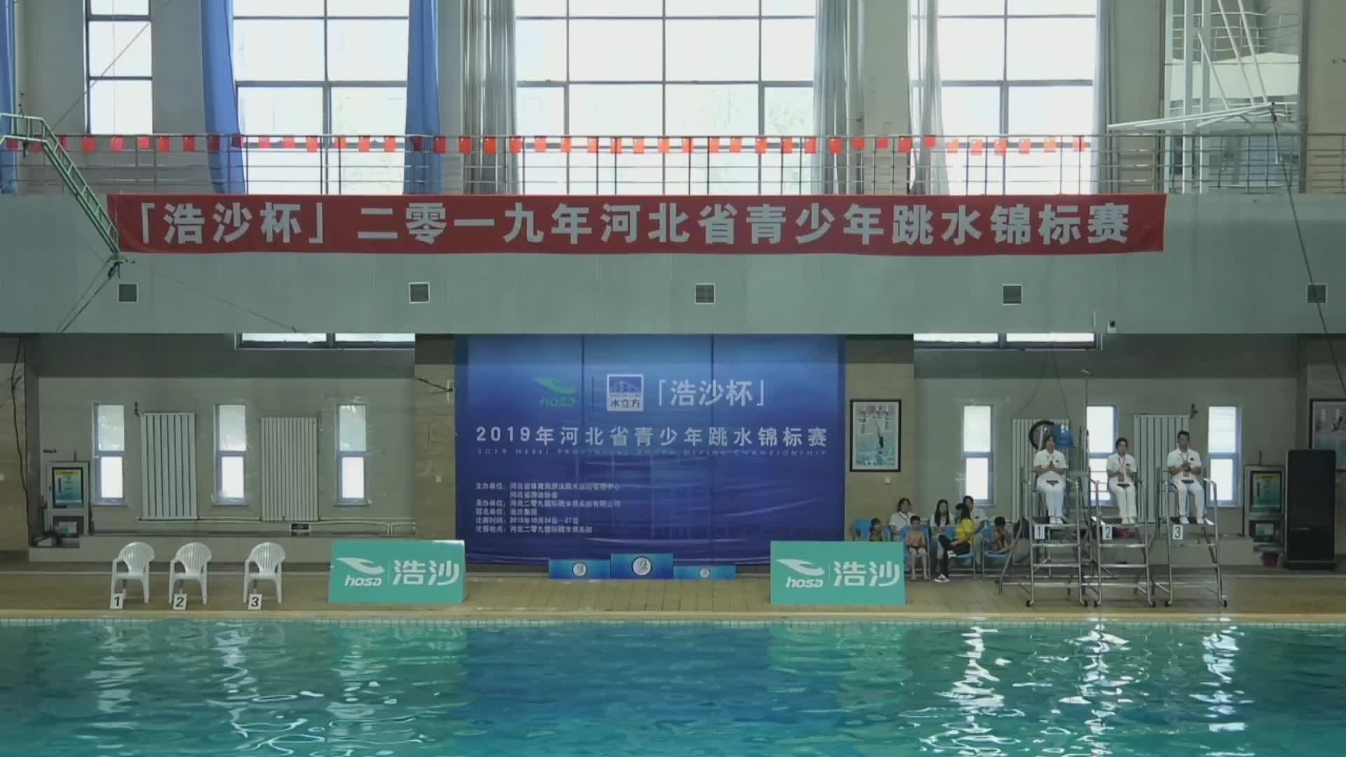2019河北省青少年跳水锦标赛