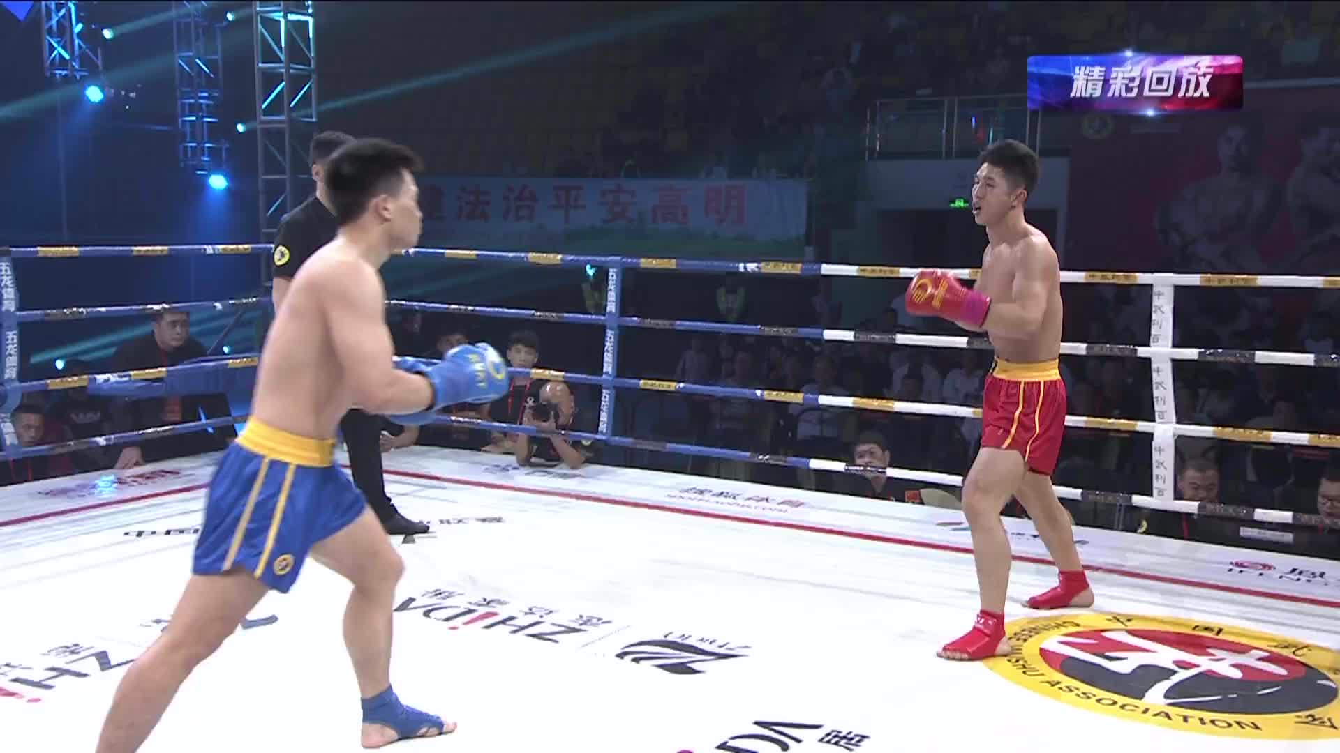 散打天下-中国武术散打职业联赛2019赛季1122