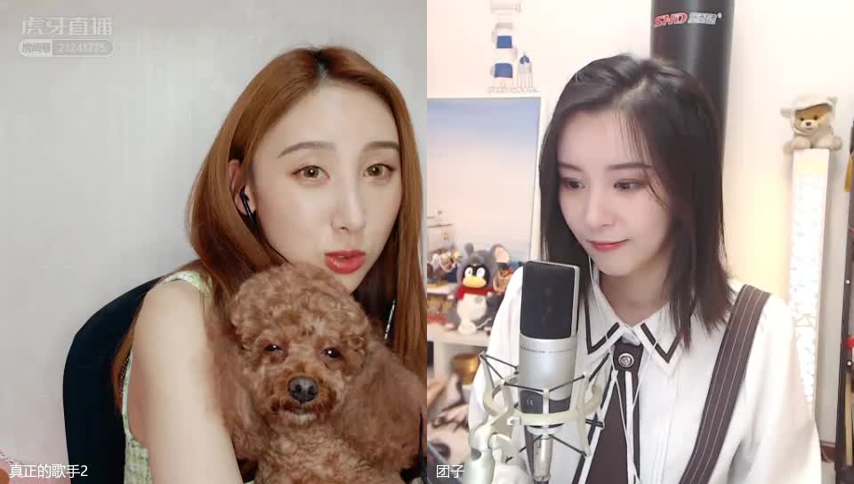 许靖韵直播在线撸狗、说粤语