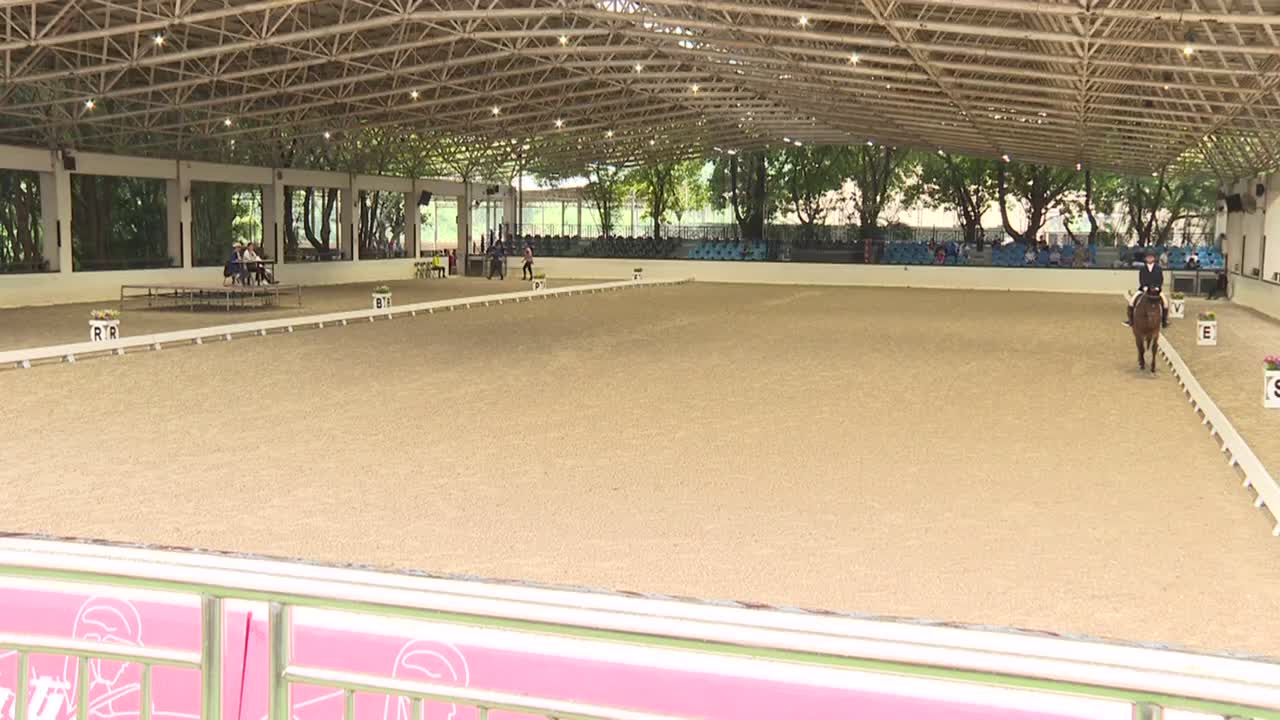 广东省第22届金伯乐杯马术精英赛111403