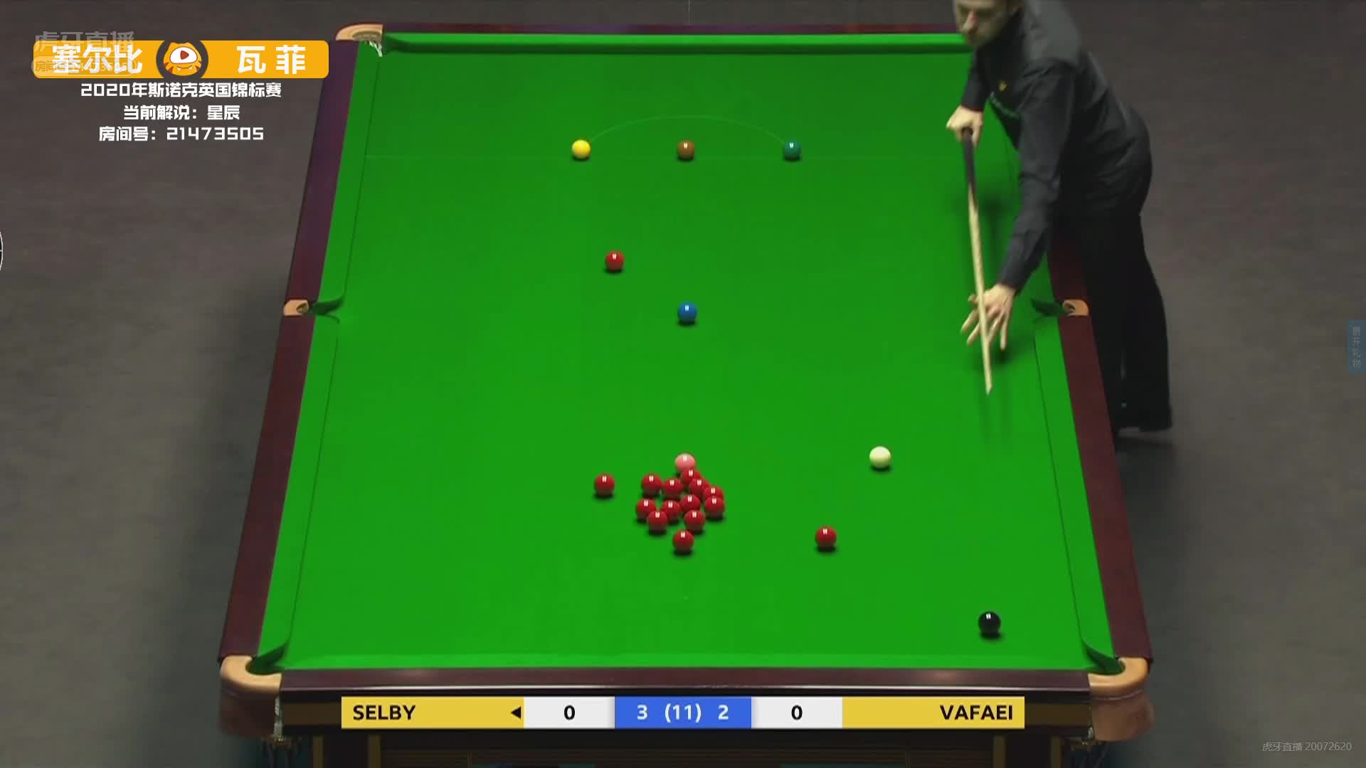 骚气解说星辰鸡贼种豆预测