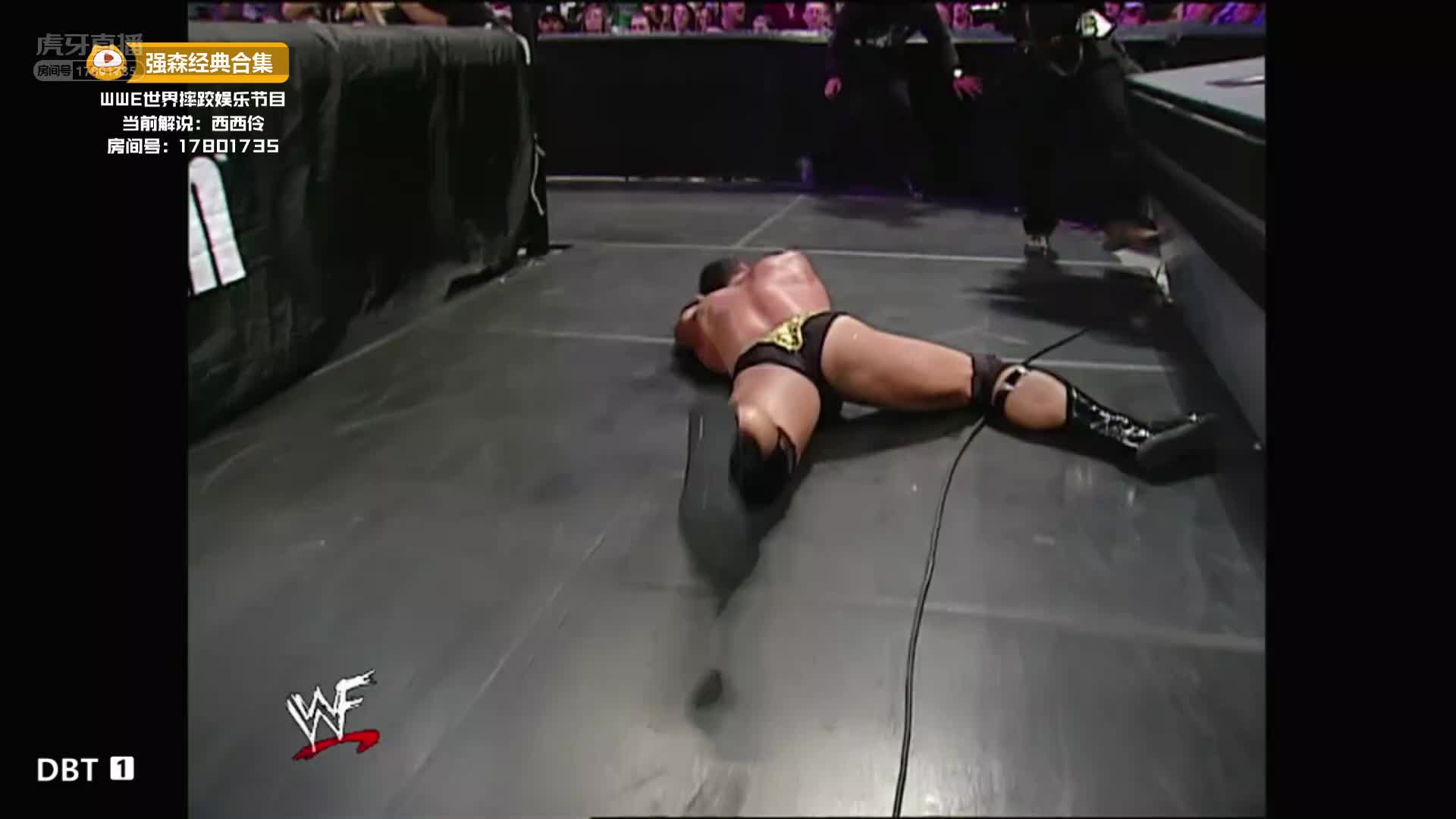 强森霍根解说台大战 裁判再次高危职业