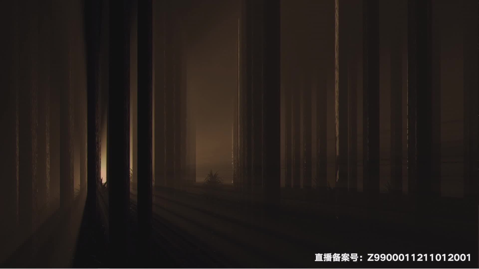  麻瓜星总对决开赛-上