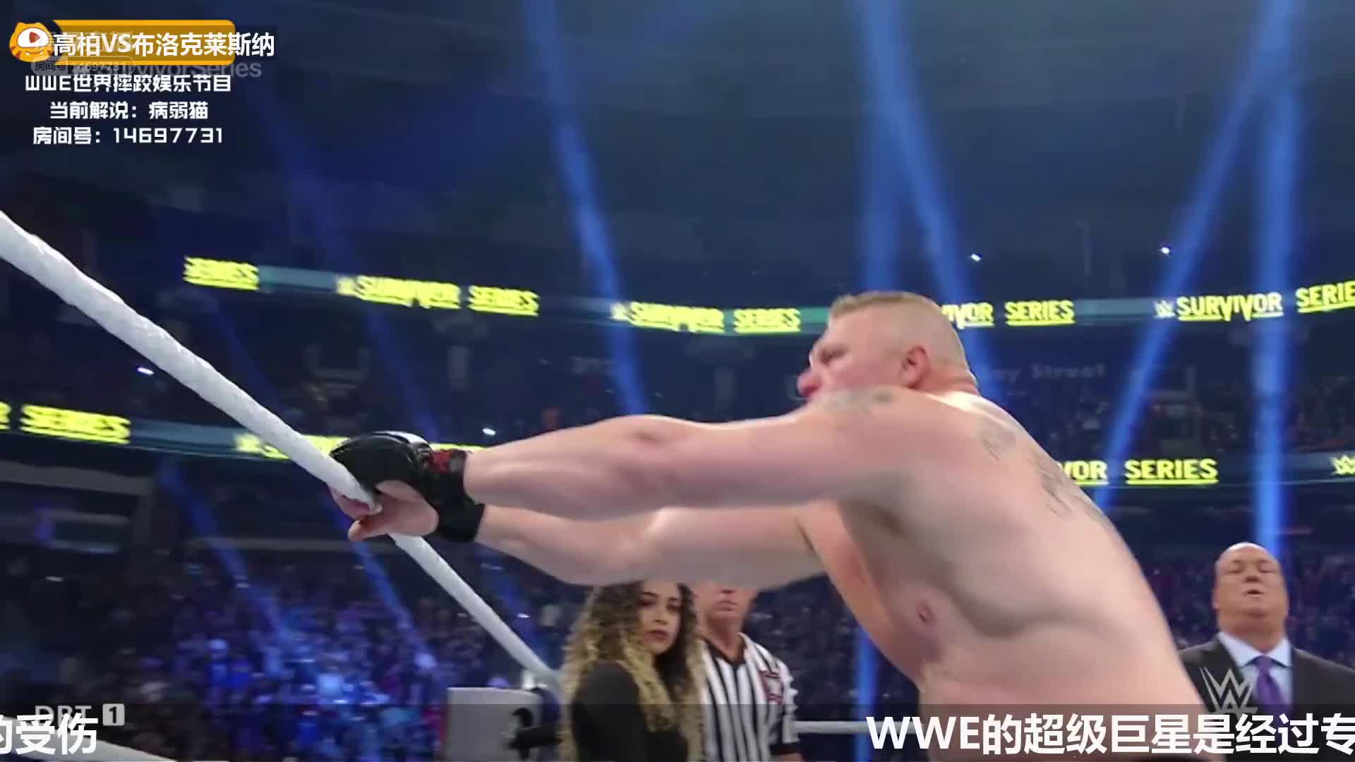 高博vs大布 病弱猫解说