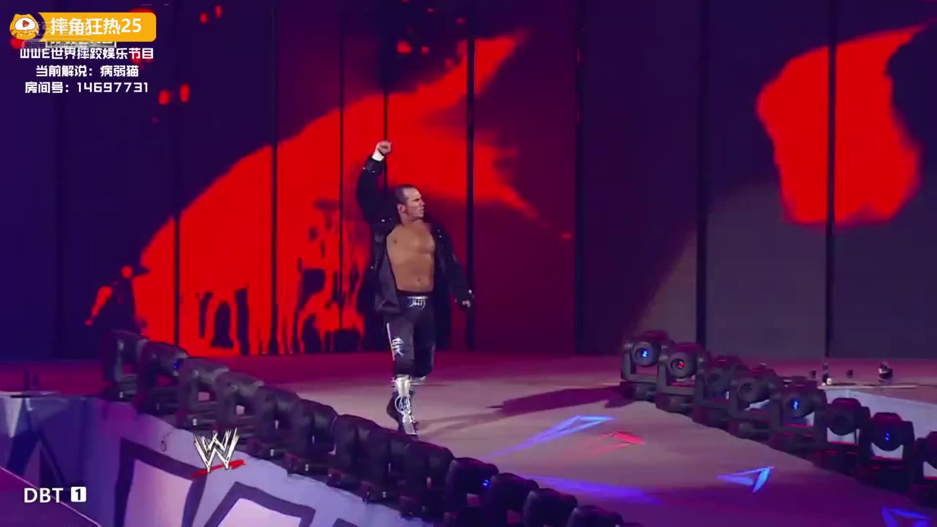 摔角狂热25 哈迪兄弟内战