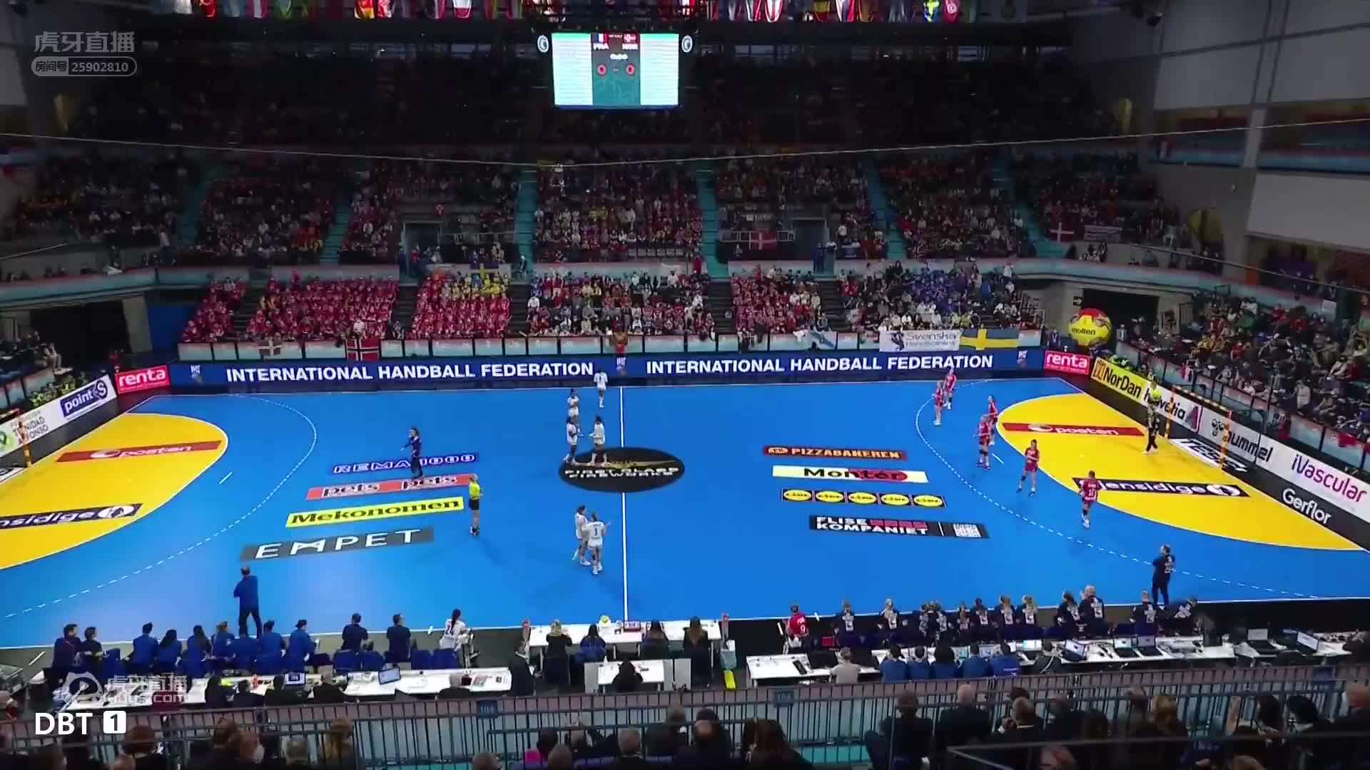 法国V瑞典 2021年IHF女子手球世界锦标赛 杨哥解说