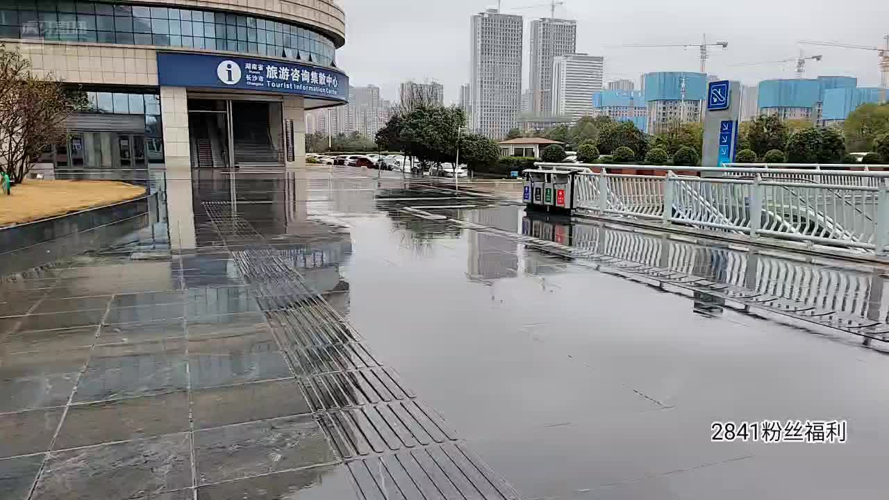 会长透露即将参加法拉利嘉年华 #星秀爆料站#