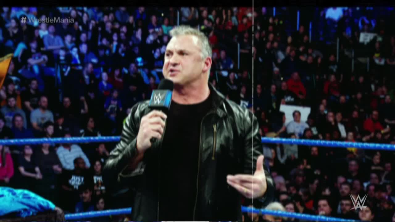 小麦vs米兹  WM35 