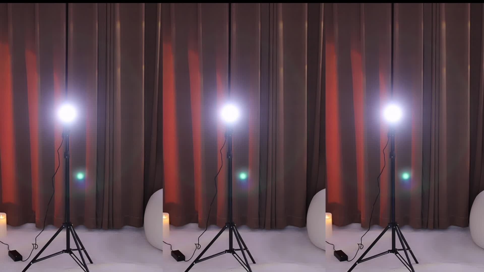 【金米米】好美的一匹马，这是真的么？