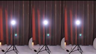 【金米米】好美的一匹馬，這是真的么？