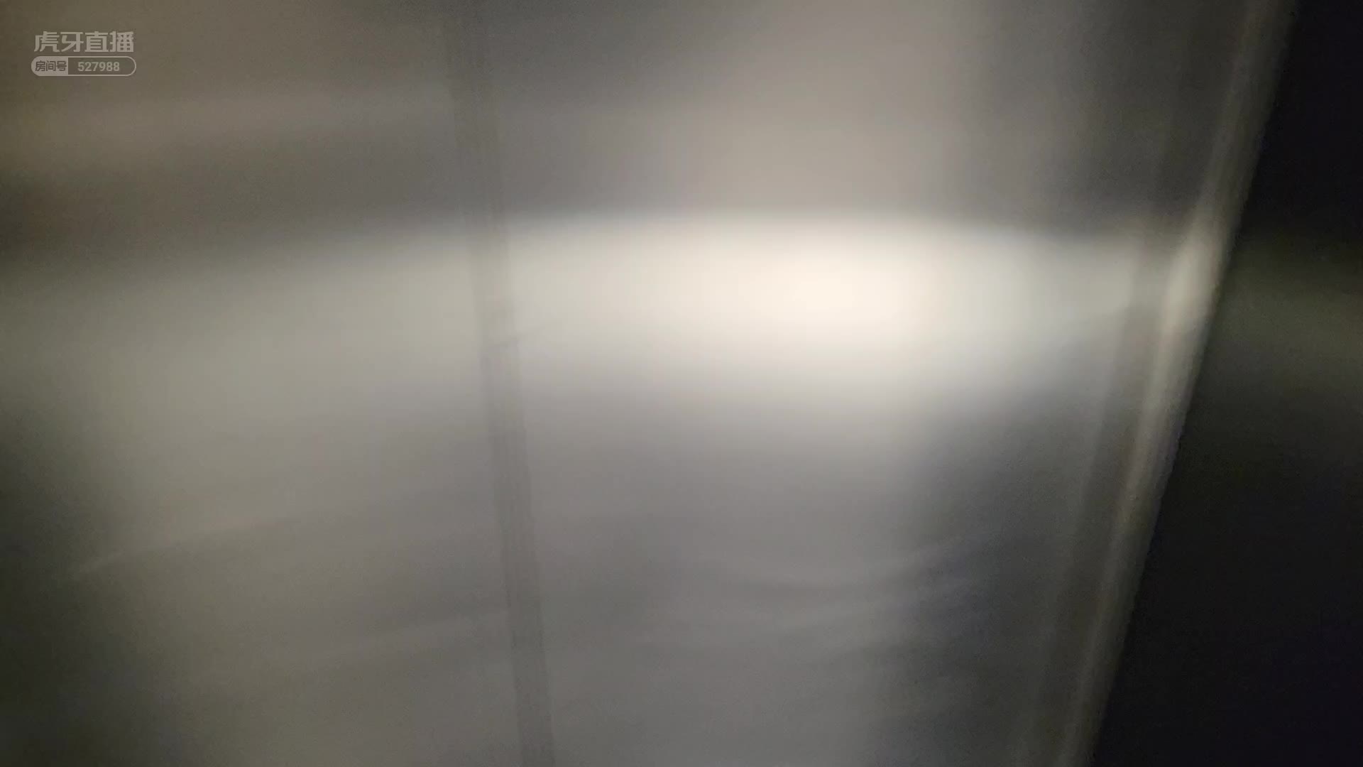 【童锦程】电梯遇狗童怕被咬屁股？？
