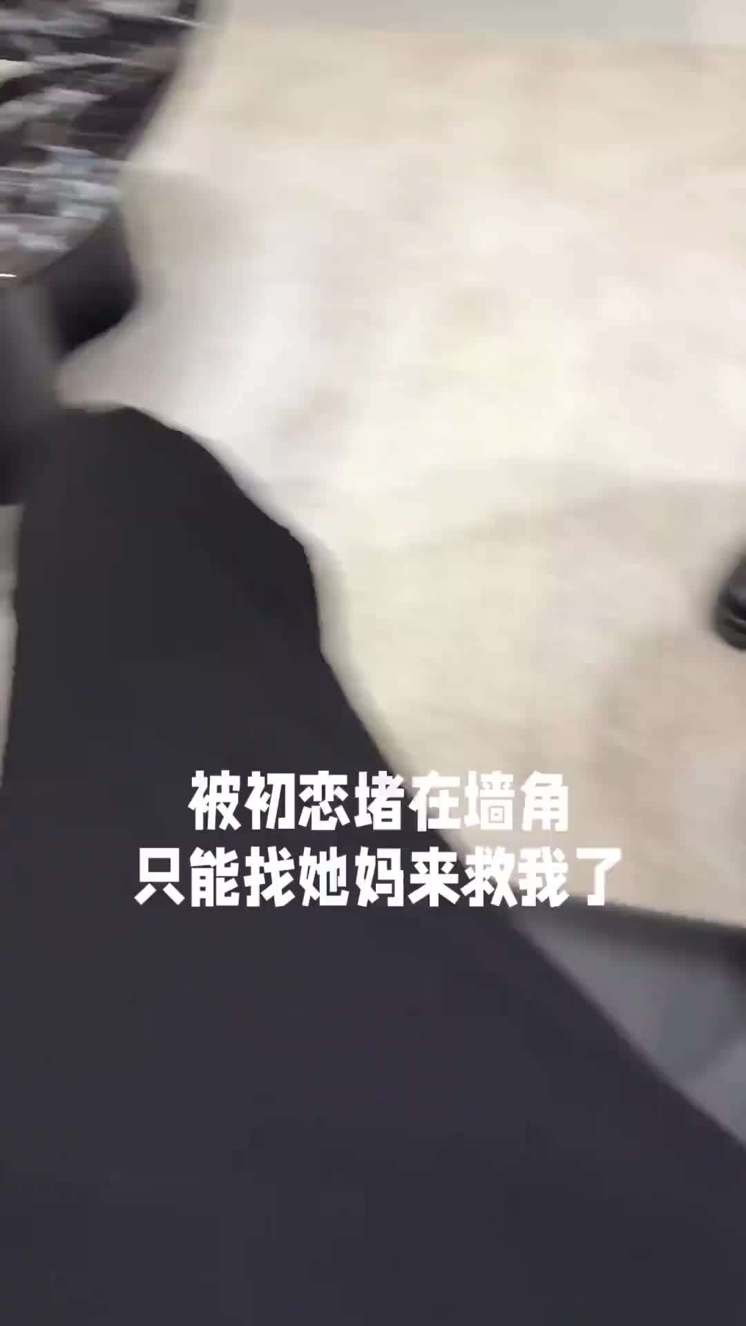 不白来一趟