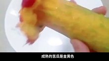 苦瓜其实是甜的