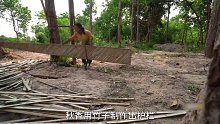 女人独自在野外生活三个月并搭建出庇护所  (2)