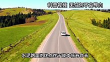 沥青路不如水泥路硬，为什么高速路都要用沥青？老司机道出实情！
