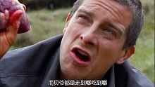 看完贝爷第三季荒野求生  (1)