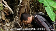看完贝爷第三季荒野求生  (8)