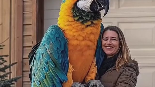 它以为的开玩笑能轻轻松松在你皮肤留下一个洞