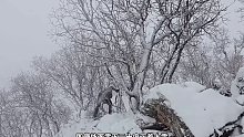第1集：冰天雪地的天气，男人在两个巨石间搭建了舒适的小屋