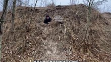 第1集：只需简单的工具，男人在野外搭建了带火炕的小屋