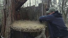 第2集：荒无人烟的野外，男人在一个枯木里搭建了舒适的小屋