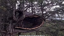 第2集：只需几根木棍，男人就在空中搭建了舒适的小屋