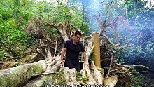 第1集：只需简单的工具，男人就在一个枯木里搭建了舒适的小屋