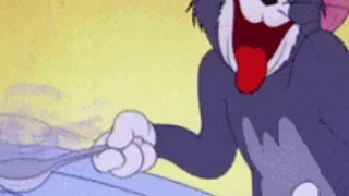 這英語沒一個對的，也沒一個是我不會的