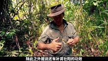 猎人和厨子组队加里曼丹岛荒野求生，抓罗氏虾挖蛤蜊，吃上海鲜大餐！(2)