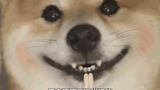大襪子大兄弟，這對嗎