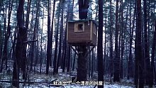 第1集：这个男人仅凭一张图纸，就造出了这么漂亮的树屋