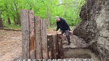 男人依靠巨型树根，打造出前所未有的树根屋顶庇护所