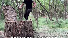在巨型树桩中打造隐蔽的地下庇护所