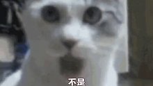 原来不是特异功能，是散光啊