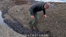 马特和乔太平洋西海岸荒野求生，吃上了贻贝大餐!(1)